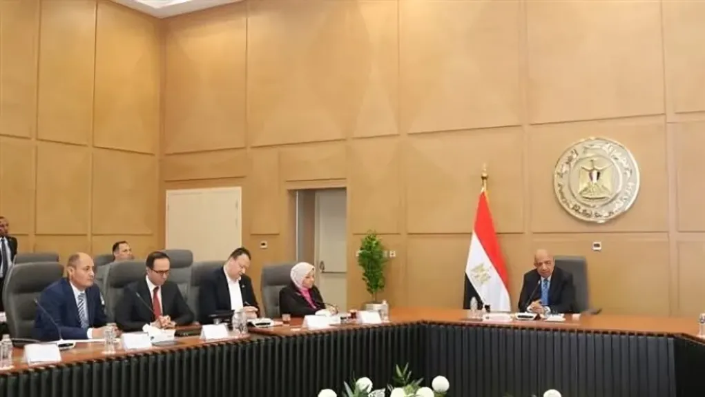 وزير الكهرباء يدفع بتطوير الشبكة القومية وتعزيز الطاقة المتجددة لدعم التنمية الزراعية