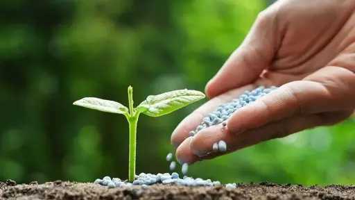 أسعار الأسمدة في مصر، تراجع...