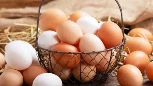 تحديث أسعار البيض والألبان والجبن...