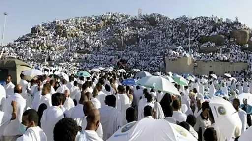 لجان مشتركة لمتابعة رحلات الحج...