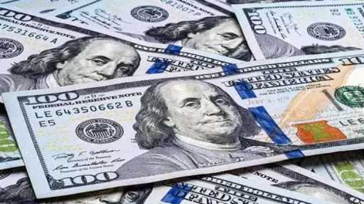 استقرار سعر الدولار أمام الجنيه...