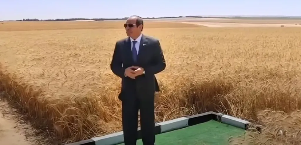 الرئيس عبد الفتاح السيسي يشهد انطلاق موسم حصاد القمح 2025 في الضبعة