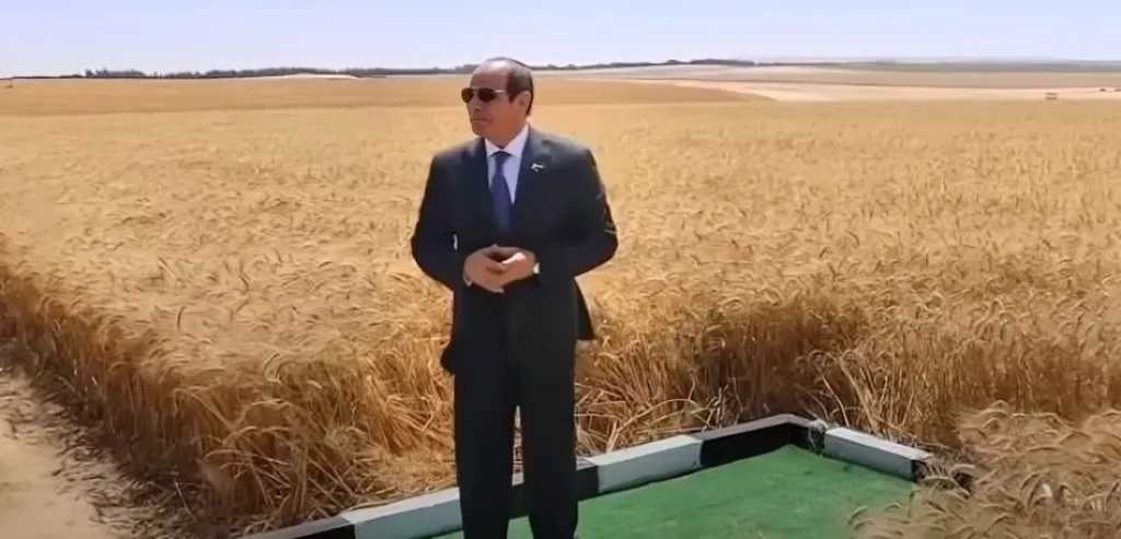 أخبار