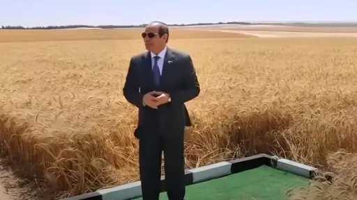 أخبار
