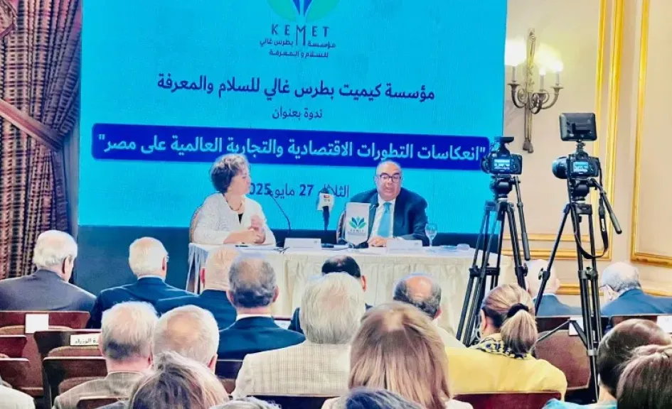 الدكتور محمود محيي الدين