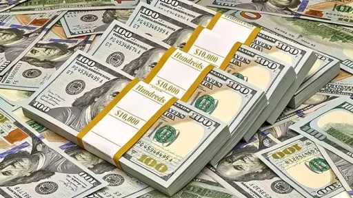 استقرار سعر الدولار أمام الجنيه...