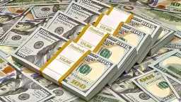 استقرار سعر الدولار أمام الجنيه...