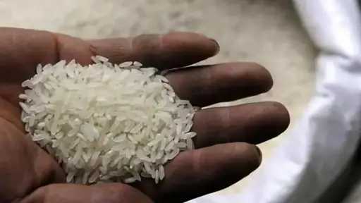 استقرار أسعار الأرز في السوق...