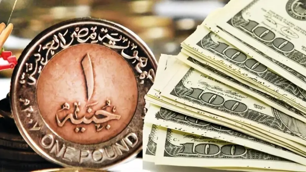 استقرار سعر الدولار أمام الجنيه المصري في البنوك المصرية اليوم الأحد 1 يونيو 2025