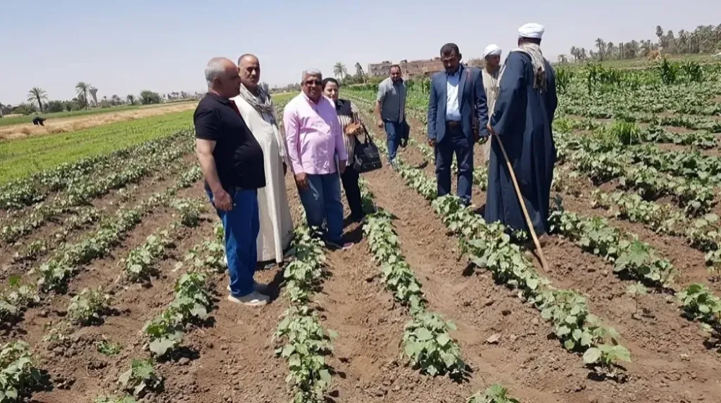 وزارة الزراعة تنفذ 2000 نشاط إرشادي لدعم المزارعين في جميع المحافظات