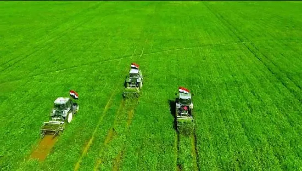 مشروعات الدلتا الجديدة والاستصلاح الزراعي