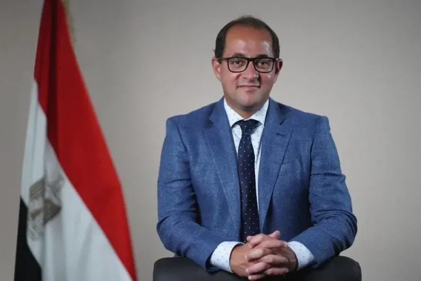 أحمد كجوك، وزير المالية