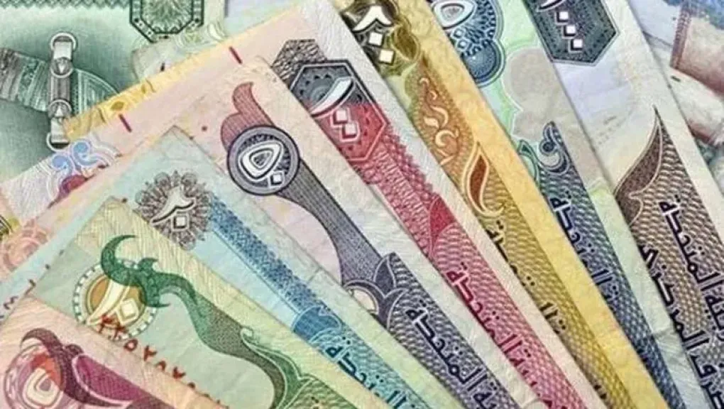 أسعار الدرهم الإماراتي مقابل الجنيه المصري اليوم 13 يونيو 2025