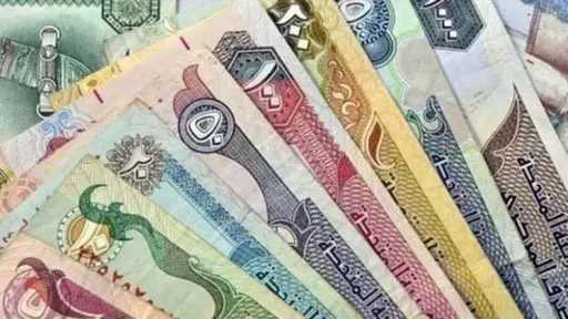 أسعار الدرهم الإماراتي مقابل الجنيه...