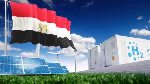 مصر تتجه نحو إنتاج الأمونيا...
