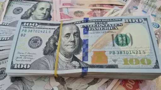 استقرار سعر الدولار أمام الجنيه...